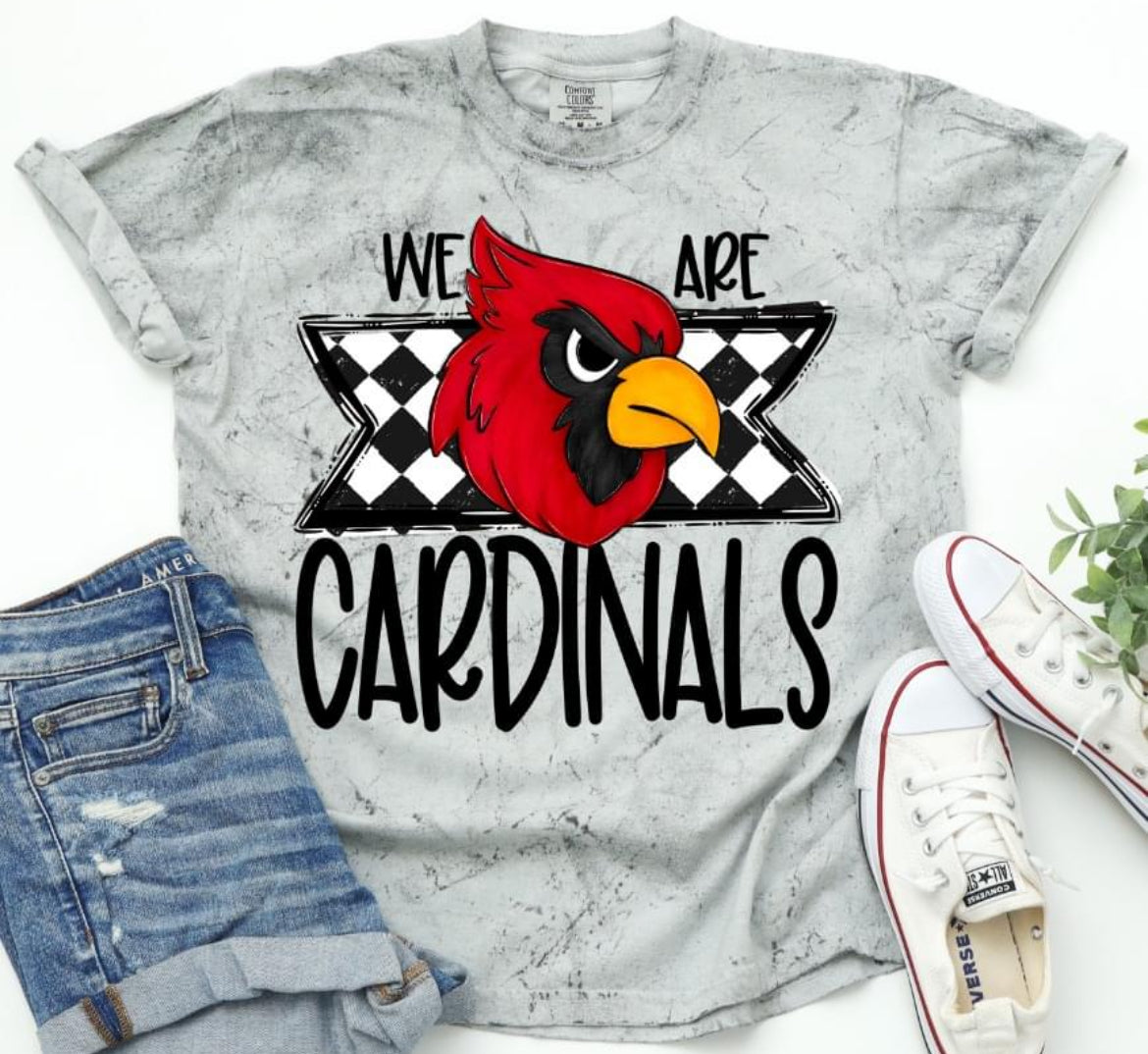 Cardinals (WE ARE Mascots) - DTF