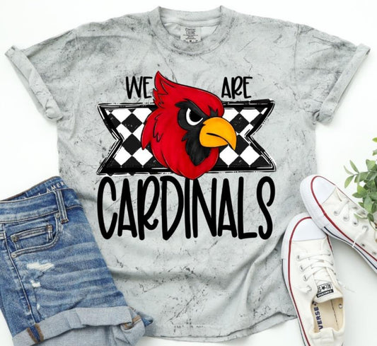 Cardinals (WE ARE Mascots) - DTF