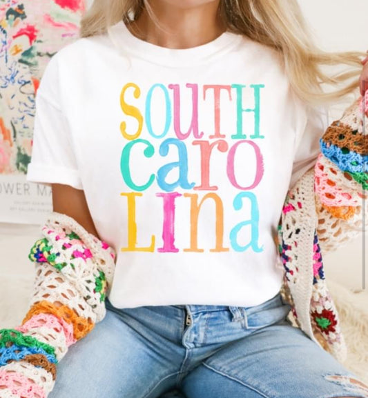 South Carolina (distressed watercolor) - DTF