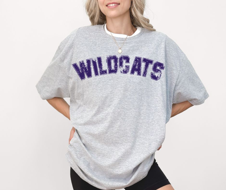 Wildcats (Distressed Arch) - DTF