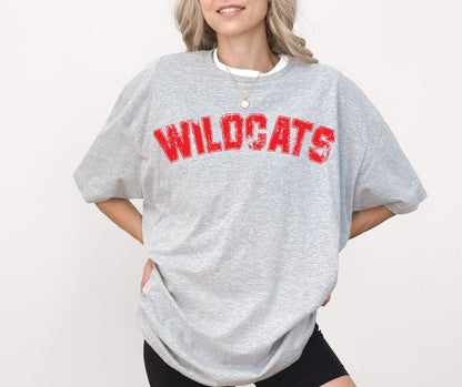 Wildcats (Distressed Arch) - DTF